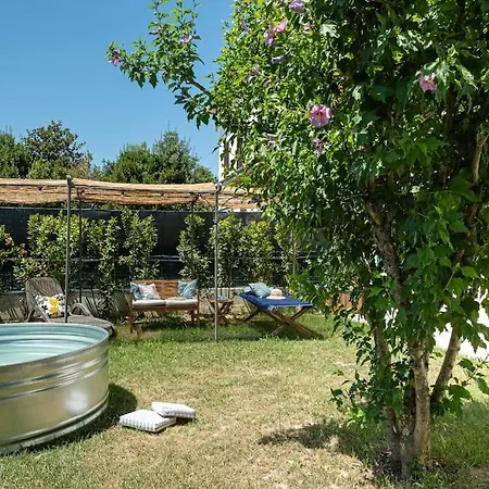 Daire Renza Tra Le Lucchesi! *